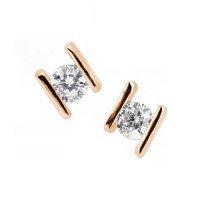 Boucles d'oreilles Élégance Naturelle